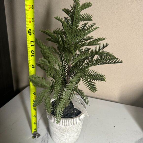 Hearth‎ & Hand with Magnolia Faux Balsam Fir Tree in Washed Cement Pot NWT 16" - Picture 4 of 6